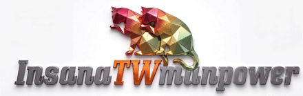 株式会社Insana TW manpower